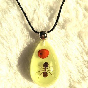 Necklace pendant, Emperor ants amber from nature